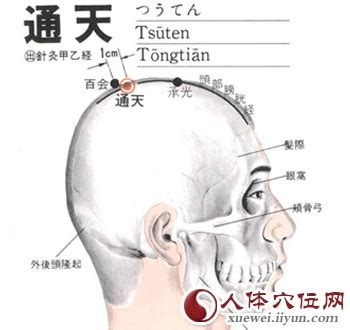 通天穴|通天穴位置 